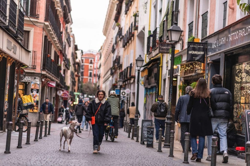 things to do in madrid in february